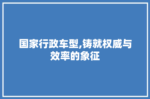 国家行政车型,铸就权威与效率的象征