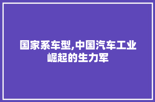 国家系车型,中国汽车工业崛起的生力军
