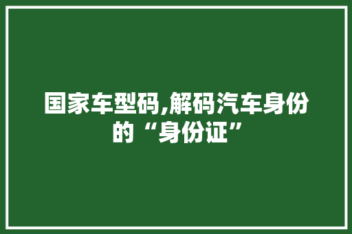 国家车型码,解码汽车身份的“身份证”