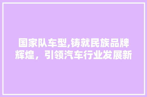 国家队车型,铸就民族品牌辉煌，引领汽车行业发展新篇章