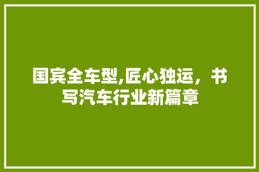 国宾全车型,匠心独运，书写汽车行业新篇章