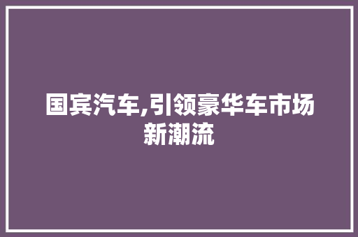 国宾汽车,引领豪华车市场新潮流