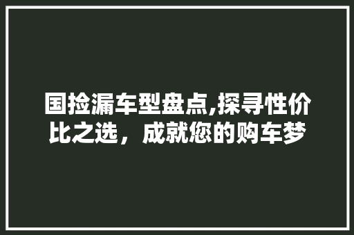 国捡漏车型盘点,探寻性价比之选，成就您的购车梦