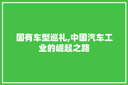国有车型巡礼,中国汽车工业的崛起之路