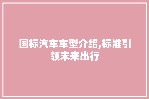 国标汽车车型介绍,标准引领未来出行
