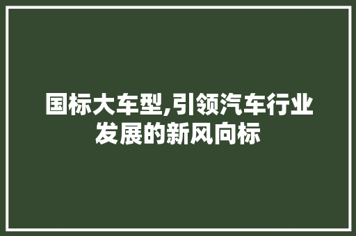 国标大车型,引领汽车行业发展的新风向标