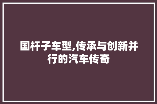 国杆子车型,传承与创新并行的汽车传奇