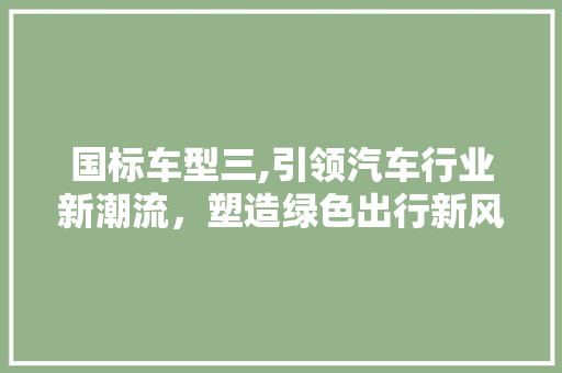 国标车型三,引领汽车行业新潮流，塑造绿色出行新风尚