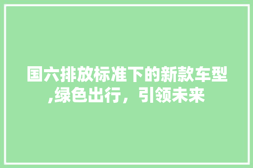 国六排放标准下的新款车型,绿色出行，引领未来