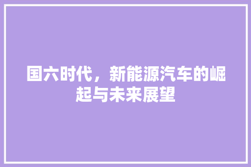 国六时代，新能源汽车的崛起与未来展望