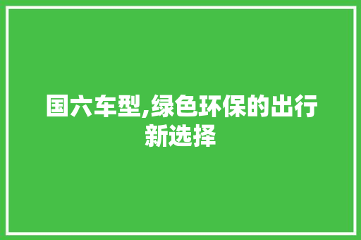 国六车型,绿色环保的出行新选择