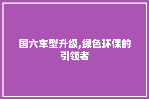 国六车型升级,绿色环保的引领者