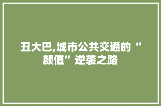 丑大巴,城市公共交通的“颜值”逆袭之路