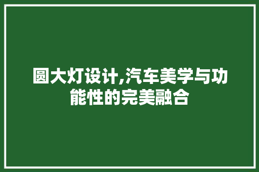 圆大灯设计,汽车美学与功能性的完美融合