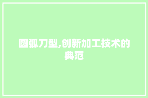圆弧刀型,创新加工技术的典范