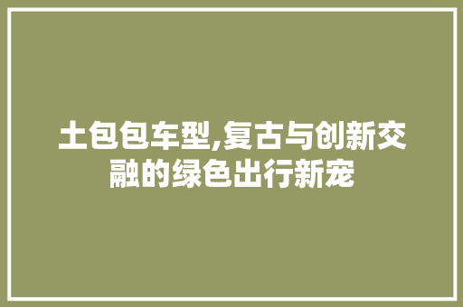 土包包车型,复古与创新交融的绿色出行新宠