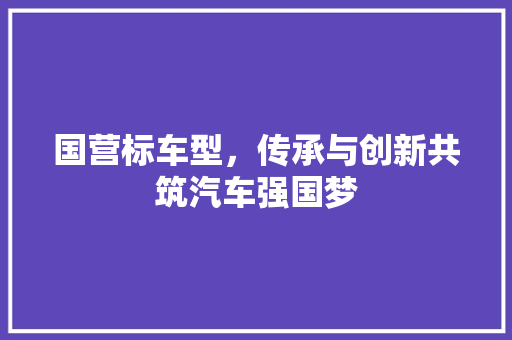 国营标车型，传承与创新共筑汽车强国梦