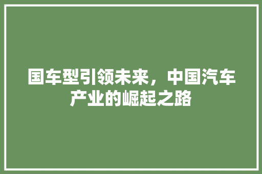 国车型引领未来，中国汽车产业的崛起之路