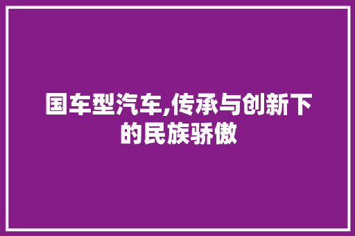 国车型汽车,传承与创新下的民族骄傲