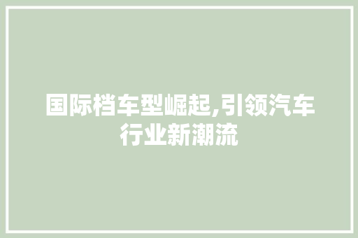 国际档车型崛起,引领汽车行业新潮流