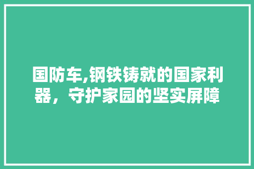 国防车,钢铁铸就的国家利器，守护家园的坚实屏障
