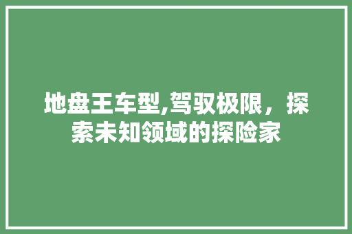 地盘王车型,驾驭极限，探索未知领域的探险家