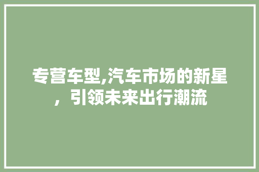 专营车型,汽车市场的新星，引领未来出行潮流