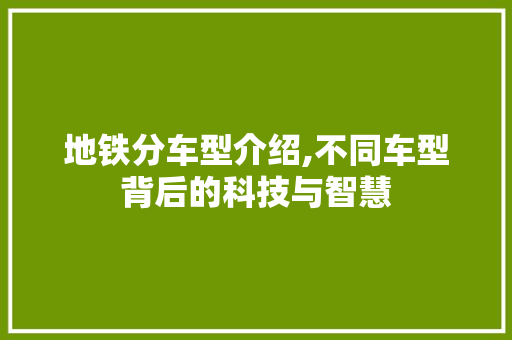 地铁分车型介绍,不同车型背后的科技与智慧