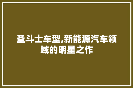 圣斗士车型,新能源汽车领域的明星之作