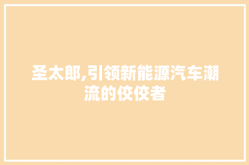 圣太郎,引领新能源汽车潮流的佼佼者 变速箱配件