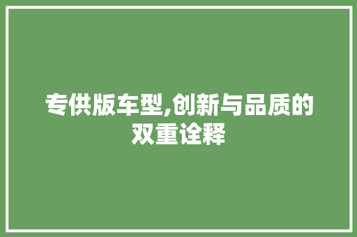 专供版车型,创新与品质的双重诠释 蓄电池配件