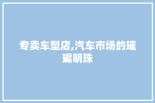 专卖车型店,汽车市场的璀璨明珠 蓄电池配件