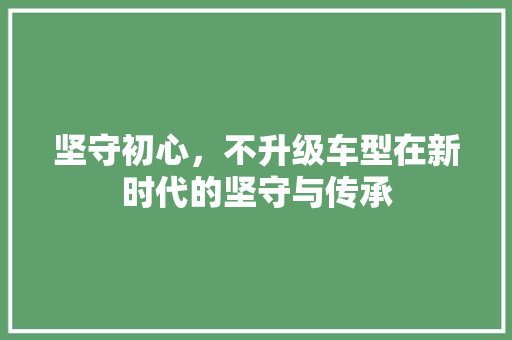 坚守初心，不升级车型在新时代的坚守与传承