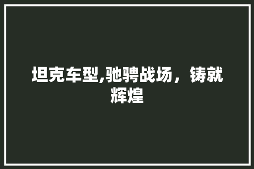 坦克车型,驰骋战场，铸就辉煌