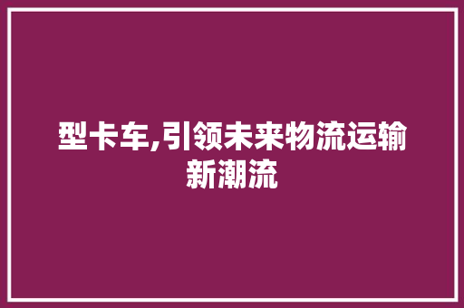 型卡车,引领未来物流运输新潮流