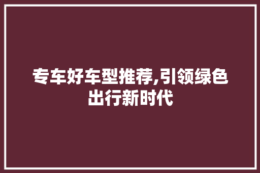 专车好车型推荐,引领绿色出行新时代