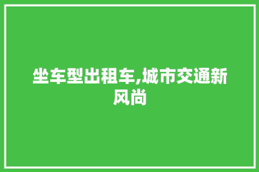 坐车型出租车,城市交通新风尚