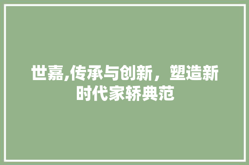 世嘉,传承与创新，塑造新时代家轿典范 汽车配件