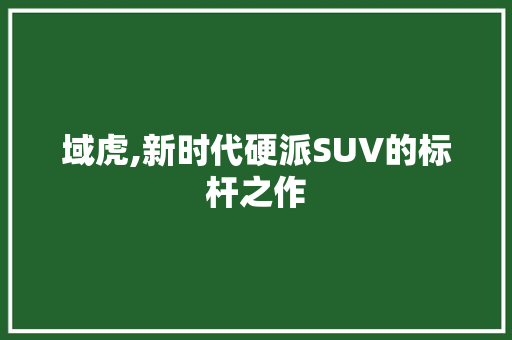 域虎,新时代硬派SUV的标杆之作