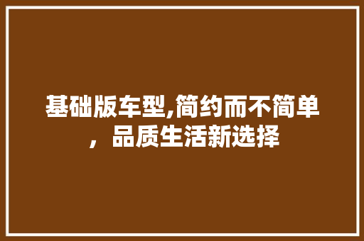 基础版车型,简约而不简单，品质生活新选择
