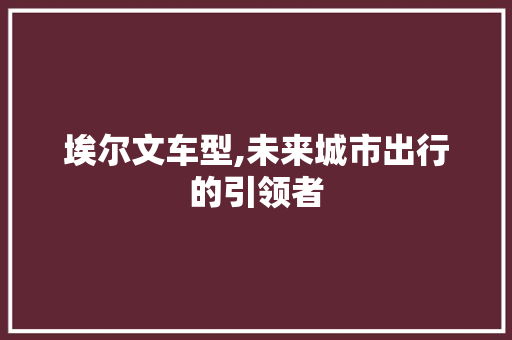 埃尔文车型,未来城市出行的引领者