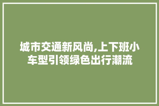 城市交通新风尚,上下班小车型引领绿色出行潮流