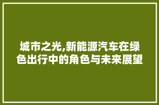 城市之光,新能源汽车在绿色出行中的角色与未来展望