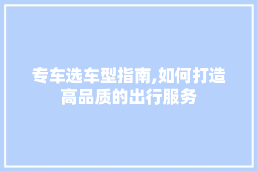 专车选车型指南,如何打造高品质的出行服务