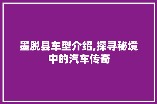墨脱县车型介绍,探寻秘境中的汽车传奇