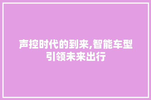 声控时代的到来,智能车型引领未来出行