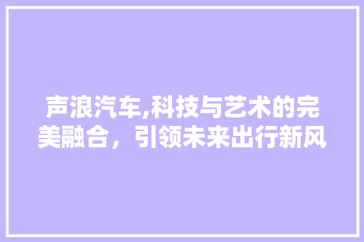 声浪汽车,科技与艺术的完美融合，引领未来出行新风尚