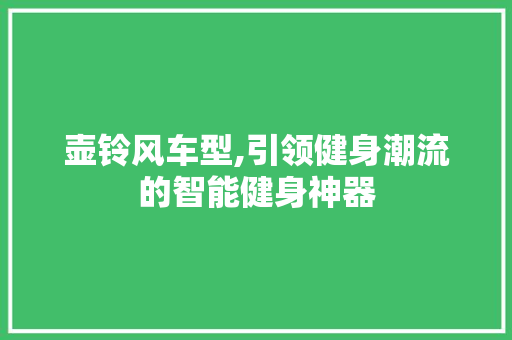 壶铃风车型,引领健身潮流的智能健身神器