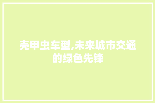 壳甲虫车型,未来城市交通的绿色先锋