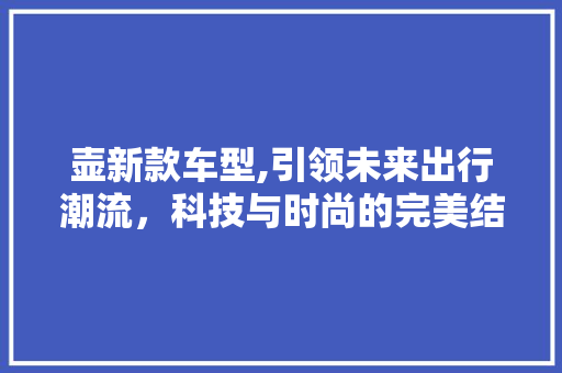 壶新款车型,引领未来出行潮流，科技与时尚的完美结合